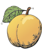 Recettes aux fruits jaunes abricot
