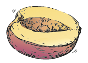 Recettes aux fruits jaunes peche