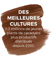 le Plan CACAO NeSTLÉ