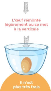Comment savoir si un œuf est bon