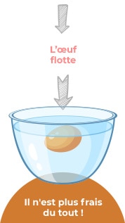 Comment savoir si un œuf est bon