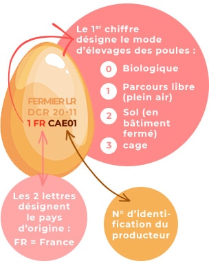 Comment savoir si un œuf est bon