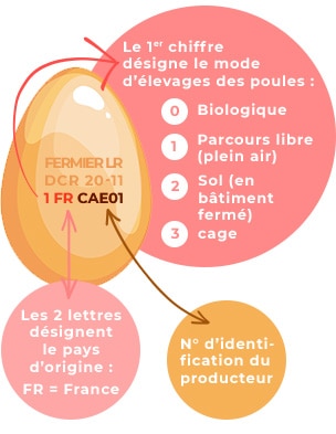 Comment savoir si un œuf est encore bon ? - Top Santé