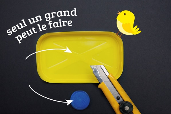 Mangeoire pour oiseaux
