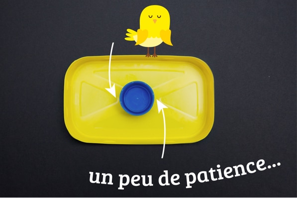 Mangeoire pour oiseaux