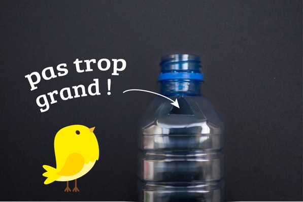 Mangeoire pour oiseaux