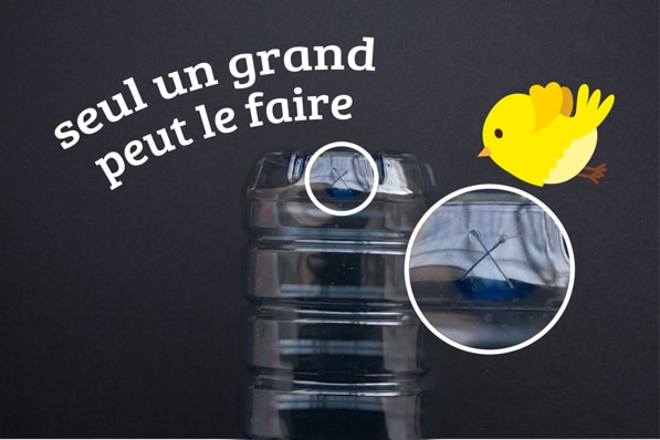 Mangeoire pour oiseaux