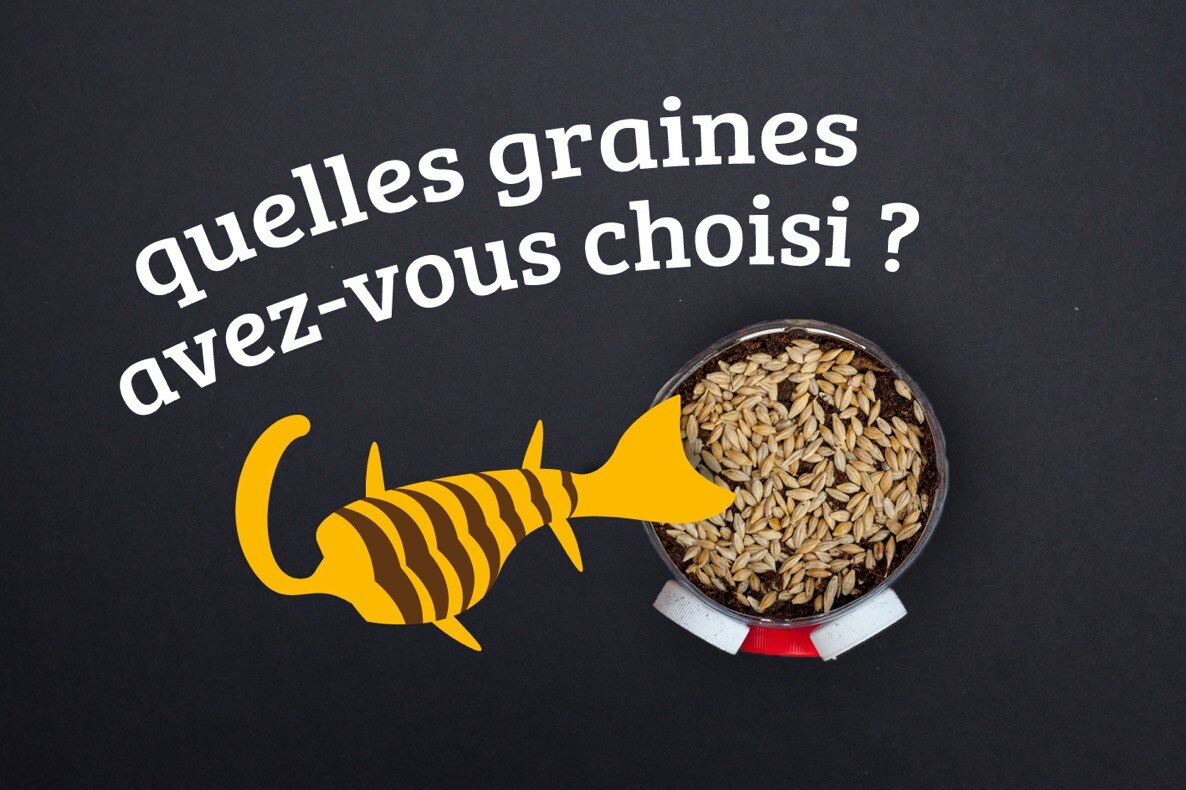 Le jardin Bio Tromignon