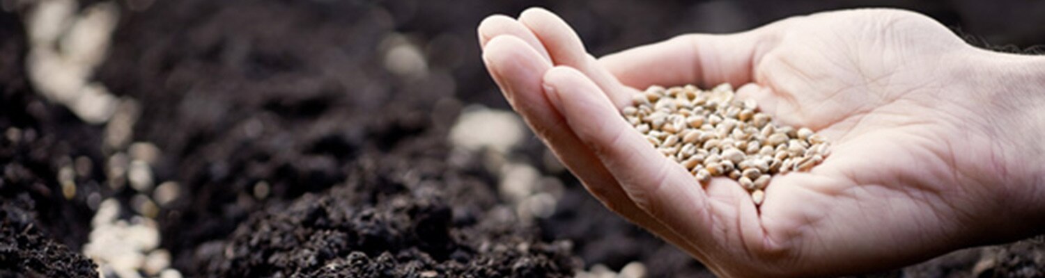 manger sainement, bien et responsable