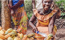 le Plan CACAO NeSTLÉ