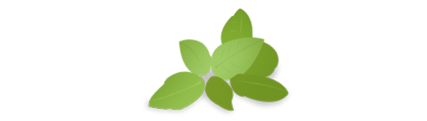 Le pesto maison