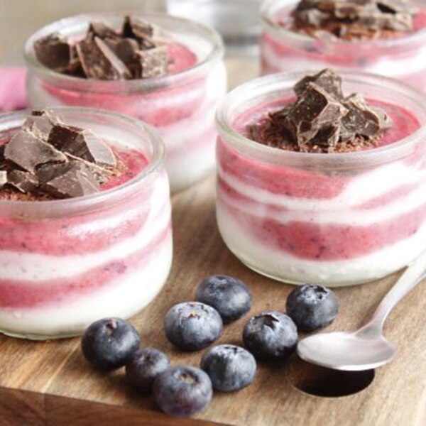 savoir-savoureux-frozenyogurt-photo600