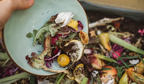 Compost_9-1