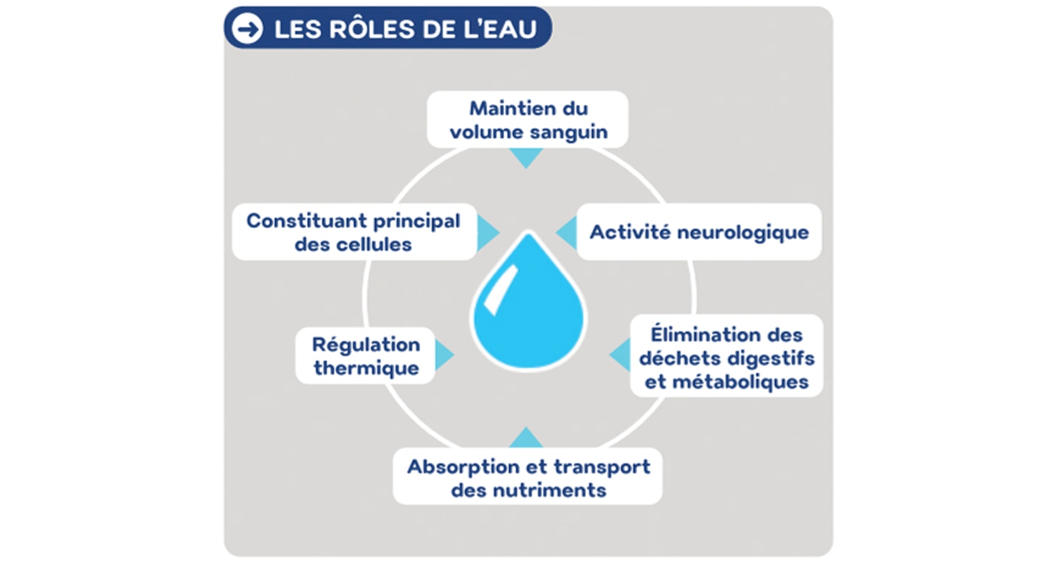 infographie-1
