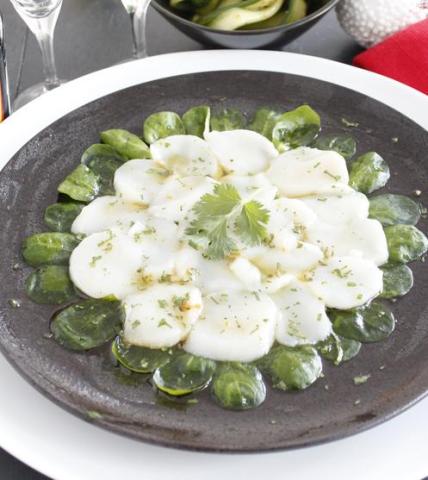 Carpaccio de Saint Jacques marinées