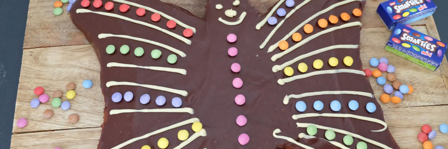 Gâteau papillon Smarties Gâteau papillon Smarties