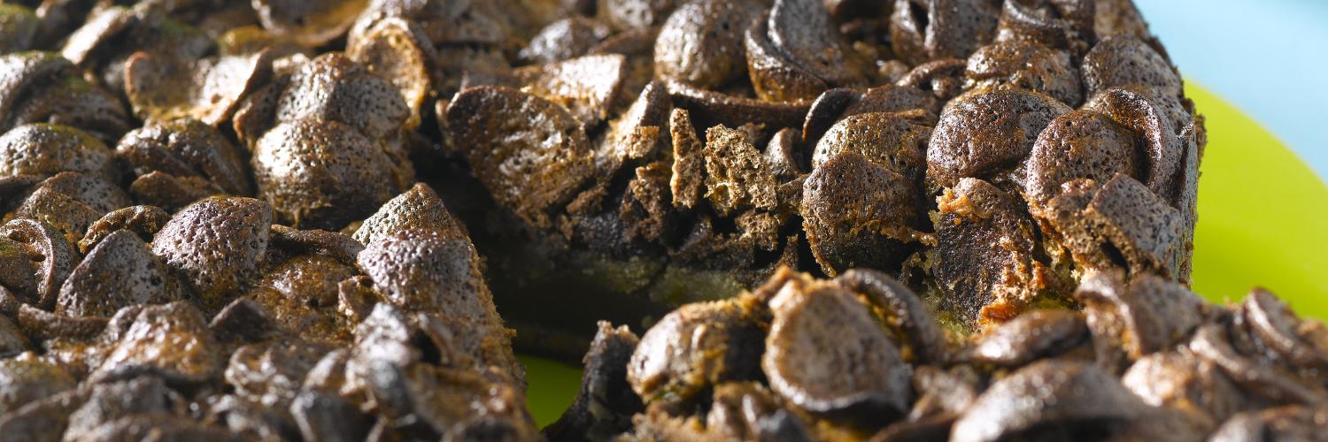 Gâteau au chocolat aux céréales chocapic Gâteau au chocolat aux céréales chocapic