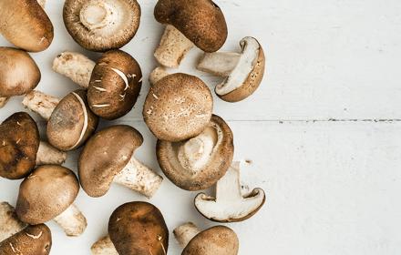 Recettes aux champignons de saison