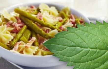 20 recettes de printemps pour un repas équilibré