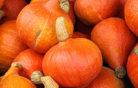 LE POTIMARRON - RECETTES, BIENFAITS ET CONSERVATION