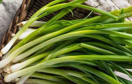 Recettes aux poireaux