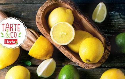 LES TARTES AU CITRON il n’y a que ça de bon !