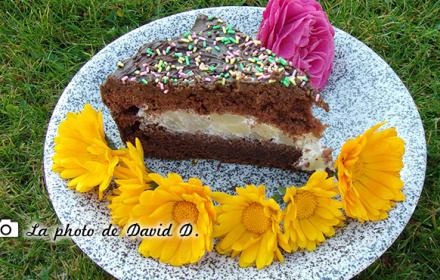 Delice poires chocolat