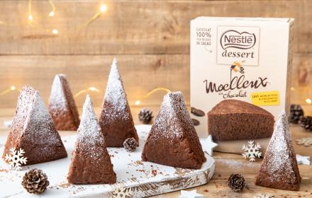 Moelleux chocolat PPG