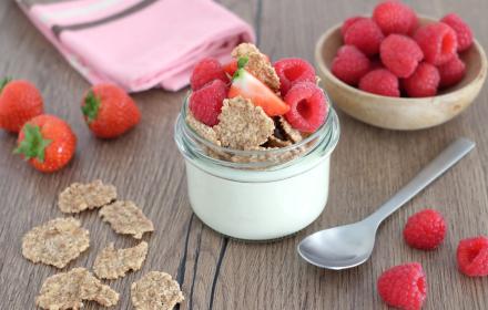 PannaPanna cotta aux fruits rouges Fitness