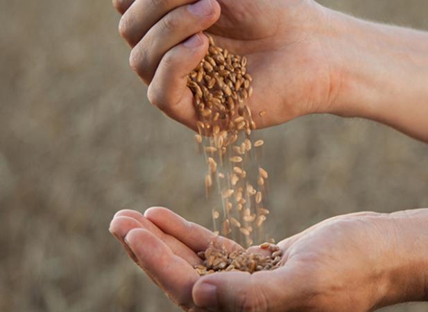 Cereales Nestle Bio