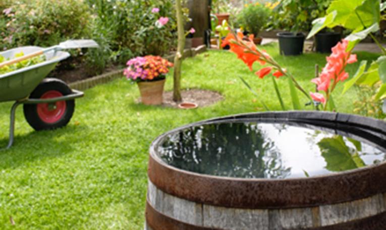 Le récupérateur d’eau de pluie